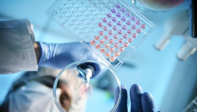 硅橡膠加熱器加熱工作過程 硅橡膠加熱器加熱工作過程